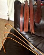 Strict Aunt Sophie. Have you been a naughty boy?